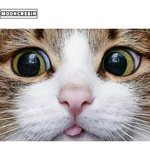 Diy Diamond Painting Cat Full Resin Square Rhinestones Cross Stitch Animal 5D Mosaic Diamond Embroidery Kit Christmas Decoration