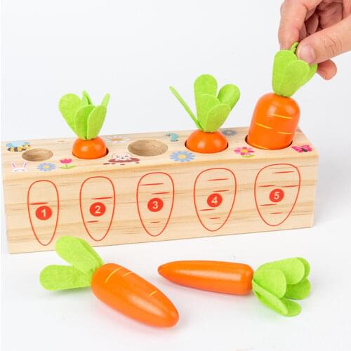 Chase wind Montessori