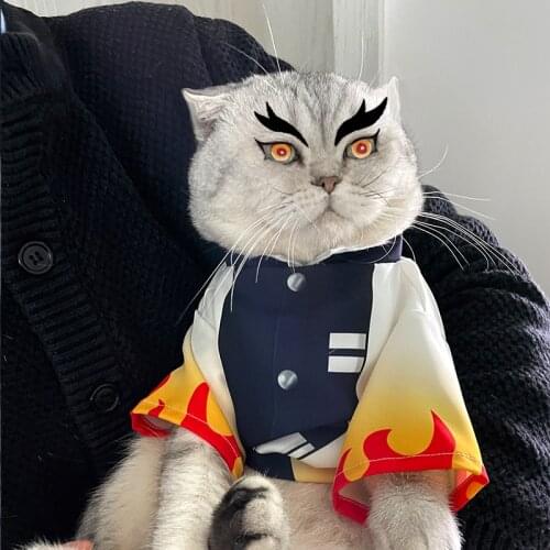 Anime Demon Slayer Rengoku Kyoujurou Little Cat Clothes Hoodie Cosplay Costumes Spring Autumn Little Dog Pet supplies Xmas Gifts