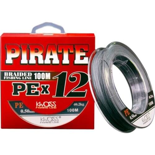 2021 New 12 Strands 100M Carp Braid Fishing Line Wear-resistant Japanese PE Multifilament Line Fishing Tool