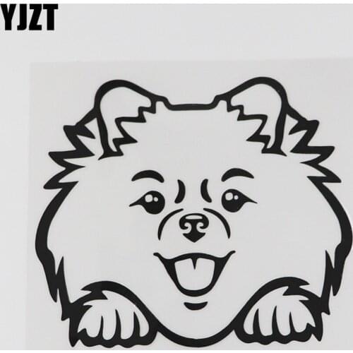 YJZT 12.8CMX10.9CM Pomeranian Peeking Pet Dog Decal Vinyl Car Sticker Black/Silver 8A-0610