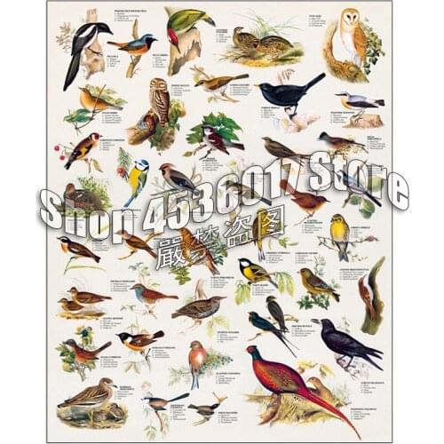 Diamond Embroidery Birds animals Wall Art Diy Diamond Painting Cross Stitch Full 5D Rhinestone Mosaic Decoration Decor Christmas