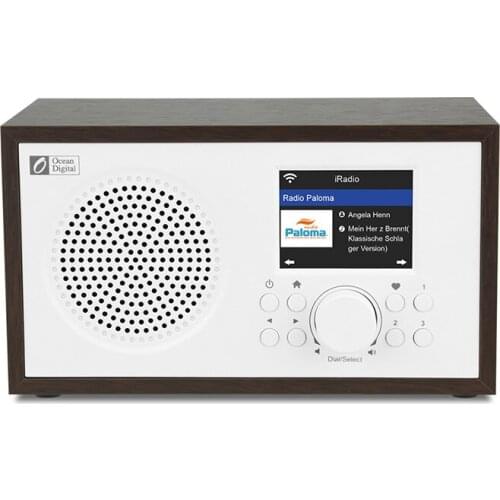 Ocean Digital WR-100 multifunctional wifi wireless bluetooth internet radio speaker, 2.4" color display, 17 languages