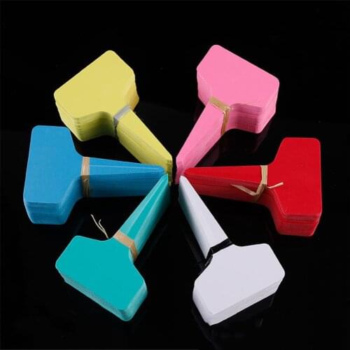 100pcs Garden T-shape Plant Labels Flower Plant Sign Tags, For Succulent Cactus Aloe ,etc.diy Markers Ornament Tools