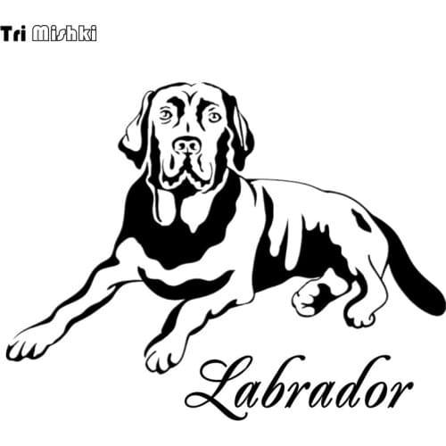 Tri Mishki HZX421 15*19.5cm labrador car sticker funny auto car stickers