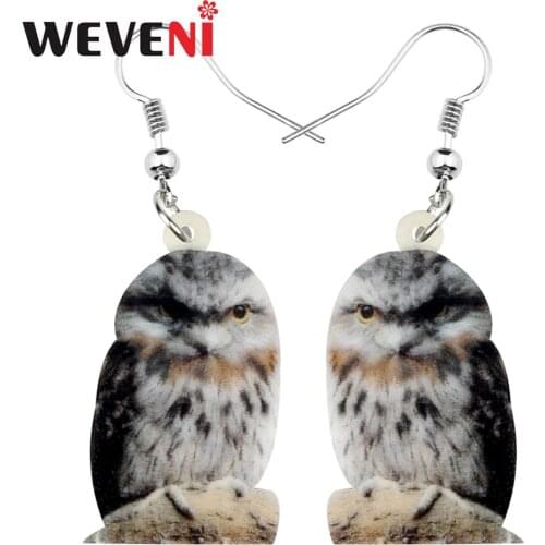 WEVENI Acrylic Serious Australian Mopoke Bird Earrings Dangle Drop Cute Animal Jewelry For Women Girls Charm Gift Decoration