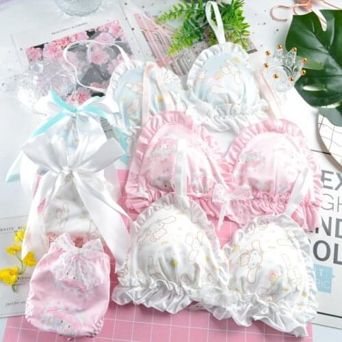 Teen Girl Sweet Cute Ruffles Cartoon Pink Bra and Panty Set Underwear Women Lolita Girls Kawaii Lingerie Wire Free Bra Thong Hot