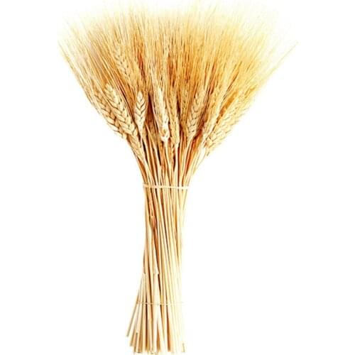 100Stems Natural Dried Wheat Ear Bunches Flower Bouquets Real Dried Flowers For Wedding Flowers Decor Free Shipping
