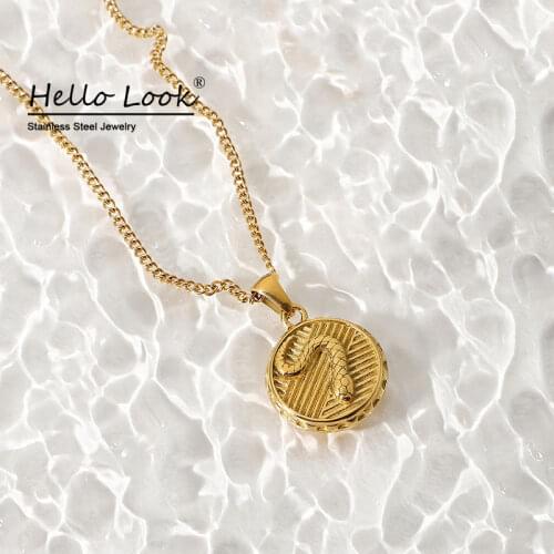 HelloLook Snake Necklace for Girls Coin Pendant Medal Necklace Stainless Steel Collar Neck Jewelry Choker Necklace
