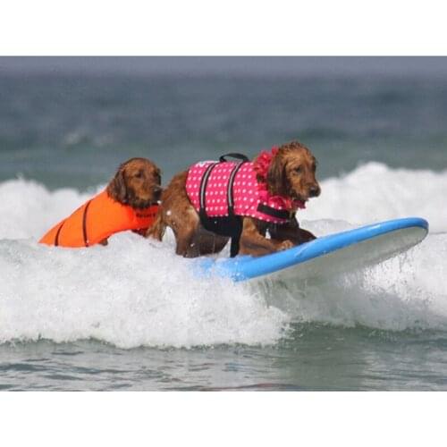 Cross - border electric goods supply source explosion swimwear life jackets clothes pet life jackets saving clothes outdoor dog