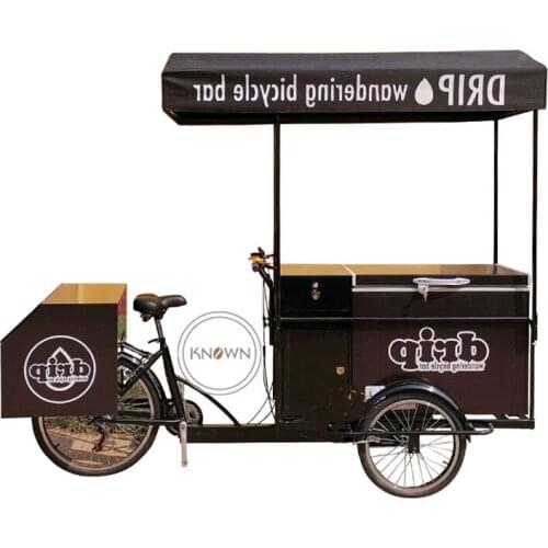 Summer Street Popsicle or Ice Cream Selling Cart Fast Food Hot Dog Cargo Bikes Fruit Vending Gourmet Bicycle