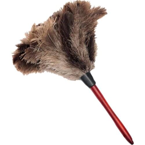 Ostrich Cleaning Feather Duster Ostrich Duster Ostrich Feather Duster Soft Feathers Duster From Furniture To Fan Blades