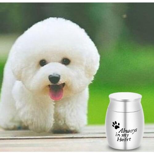 Pet Cremation Urns Stainless Steel Ash Memorial Container Dog Cat Perfect Restin K1MF