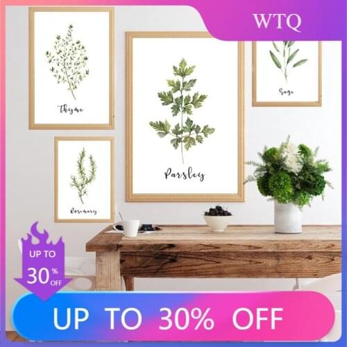 Oregano Sage Rosemary Basil Herbal Canvas Painting Print Plant Poster Kitchen Wall Art Living Room Interior Decoration Painting
