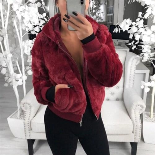2019 New Sherpa Fleece Sweaters Zipper Collar Hooded Cardigan Warm Tops Fake Fur Fluffy Winter Streetwear Fleece Sweater