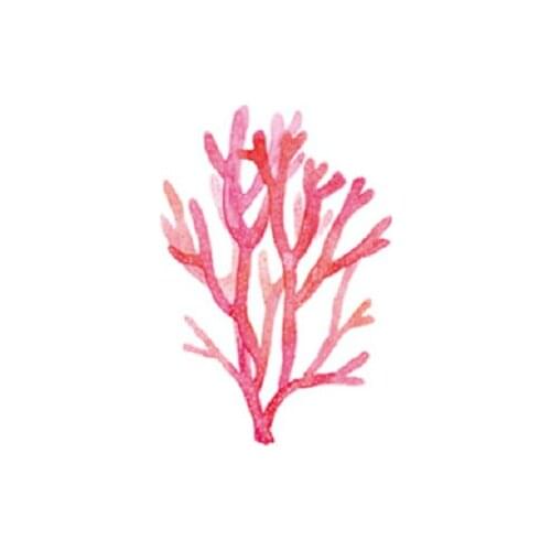 60MM×80MM tattoo stickers waterproof female lasting literary pink coral plant small fresh