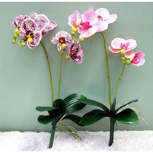 Artificial Phalaenopsis Flower Plastic Orchid Branch With Leaves Fake Flowers for Wedding Backyard Living Room Decoration
