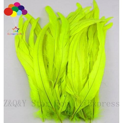 Natural 25-30CM (10-12 inches) cock tail decoloring dyeing fluorescent color 20-200PCSDIY craft jewelry clothing decoration