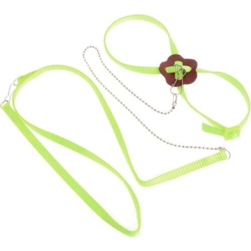 2021 New Pet Parrot Bird Harness Leash Outdoor Adjustable Training Rope Traction Strap