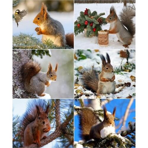 AZQSD DIY Painting By Numbers Squirrel Handpainted Gift Coloring By Numbers Animal Picture For Living Room Home Decoration