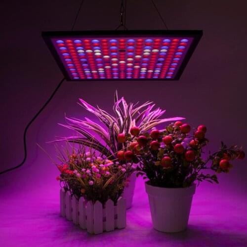 LED Grow Light Panel Full Spectrum Phyto Lamp For Indoor Plants Flowers Greenhouse Seedlings Growth Light 2021 Growing Lamps HWC