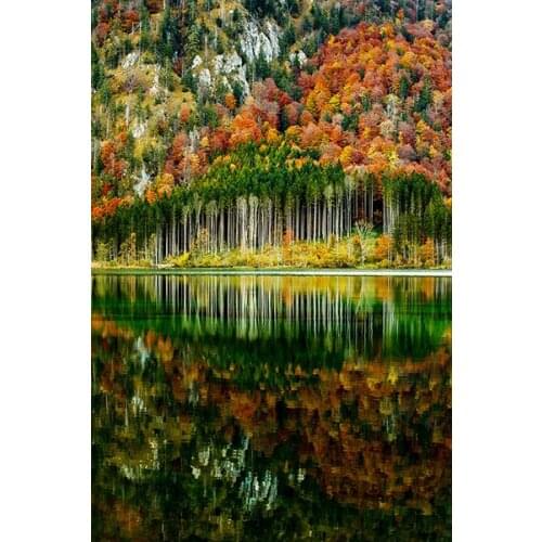 1000 pieces The wooden puzzles Autumn forest jigsaw puzzle white card adult childrens educational toys