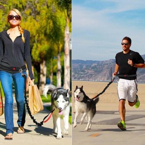 New High Elastic Dog Leash Reflective Adjustable Waist Rope Hands Free Traction Rope Pets Walk the Dog Accessories