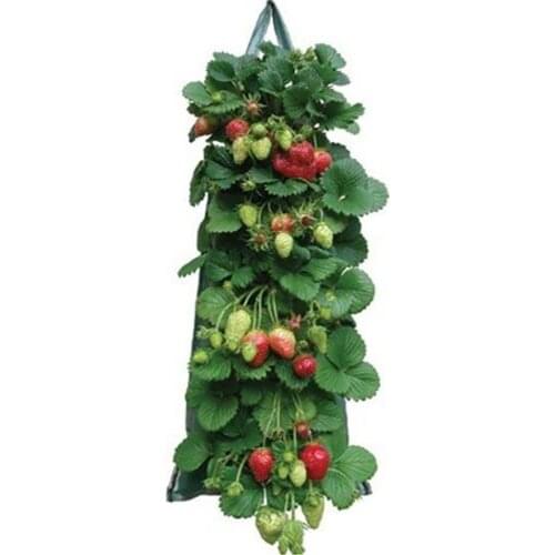 Wall Hanging Planting Bags Growing Bag Planter Vertical Garden Vegetable Strawberry Planting Bag Flower Planting Garden Unusual