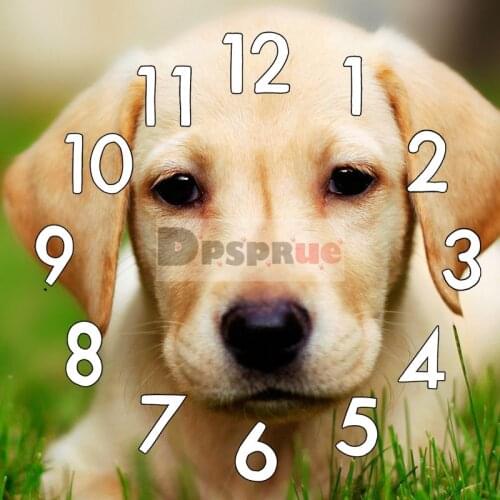 Dpsprue 5D Diamond Painting Kit With Clock Cross stitch Full Square Round Diamond Embroidery Mosaic Animal Dog Grass Gift