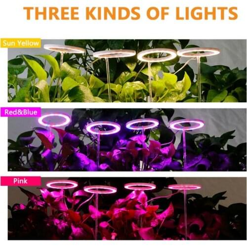 LED Angel Ring Grow Light 5V Adapter USB Phytolamp For Plants SMD2835 IP20 Plant Seedlings Flower Succulet Full Spectrum Lamp
