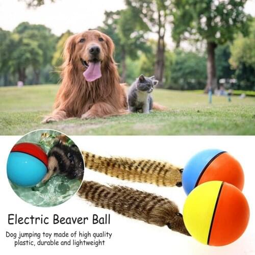 Pet Rolling Ball Toy Dog Cat Random Color Motorized Rolling Ball Tiny Size Durable And Lightweight For Beavers And Cat To Grip