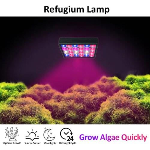 PopBloom led aquarium grow light plants aquarium led lighting refugium lamp led lighting for seaweed filter / refuge GP2SMP