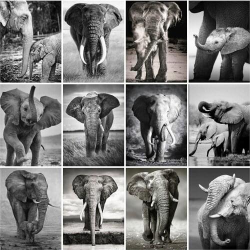 Evershine Diamond Embroidery Elephant Animals Diamond Painting Black White Cross Stitch Full Square Mosaic Rhinestone Home Decor