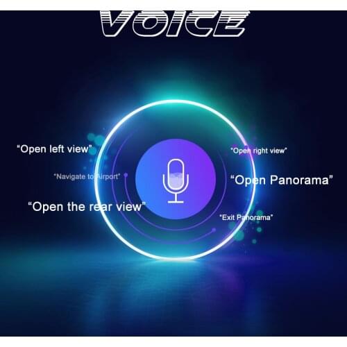 Leekooluu NEXAI Smart Voice Assistant Activation Code Basic/Upgraded Version Special for Leekooluu Android Car Raido