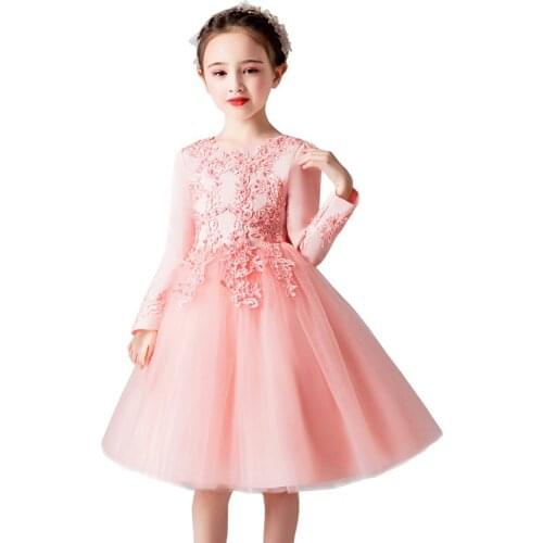 Spring Autumn Long Sleeves Lace Embroidery Ball Gown Kids Mesh Dress Girls Children Flower Birthday Party Princess Tutu Dresses