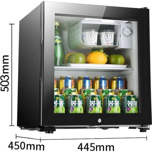 Portable Refrigerator Mini Fridge Auto Compressor Freezer RV Van Truck Travel Cooler micro freezing Office Hotel household 220V