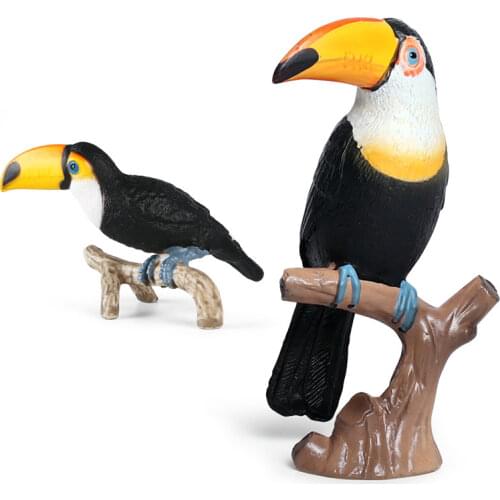 New Simulated Birds Animal Model Plastic Ornaments Solid Toucan PVC Action Figure Kids Educational Toys Boy Collection Toy Gifts
