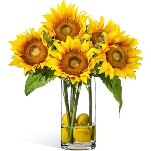 Gerard de ros Artificial Sunflowers