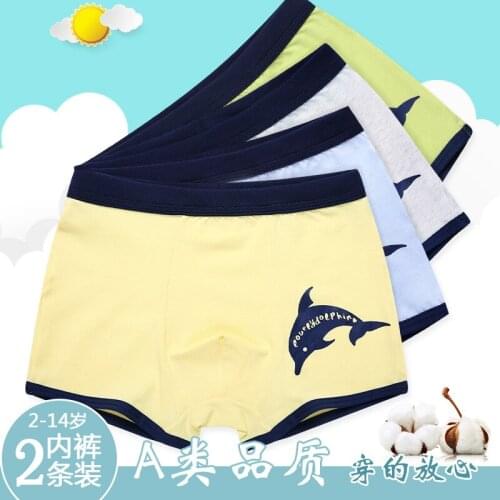 Phynier Cartoon panties baby underwear boy quadrupers children briefs shorts