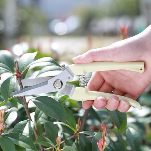 Stainless Steel Garden Pruning Shears Fruit Picking Scissors Household Potted Trim Weed Branches Small Scissors Gardening Tools