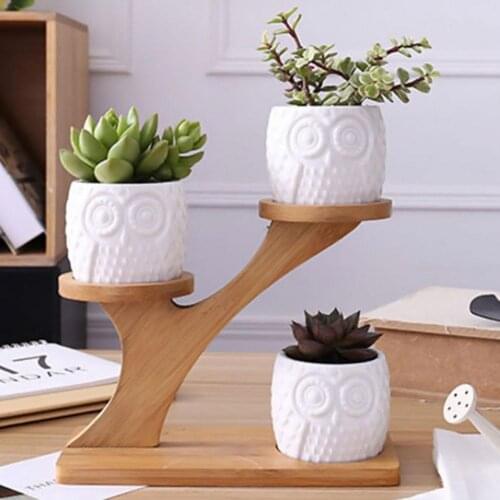 Succulent Plant Flower Pot Holder Ceramic Owl Pumpkin Pattern Pot Treetop Shaped Bamboo Shelf Pot Planter Set Home Decoration