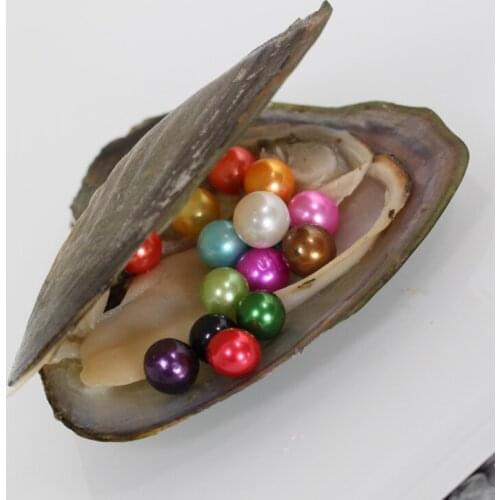 10pcs Twins AAA Round Pearls in Freshwater Oyster 7-8mm Mixed Colors Love Wish Pearl Xmas Gift FP382
