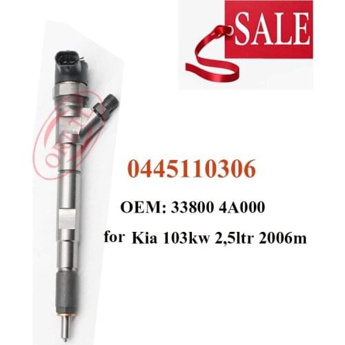 ORLTL 0445110 306 33800 4A000 0445110306 33800-4A000 Common Rail Sprayer Injector For Kia 103kw 2,5ltr 2006m