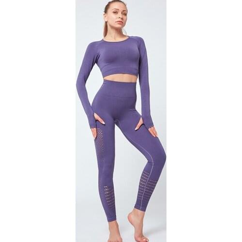 2 pieces long sleeve crop tops shirts and mesh leggings fitness gym set overalls for women sport seamless yoga set high waisted