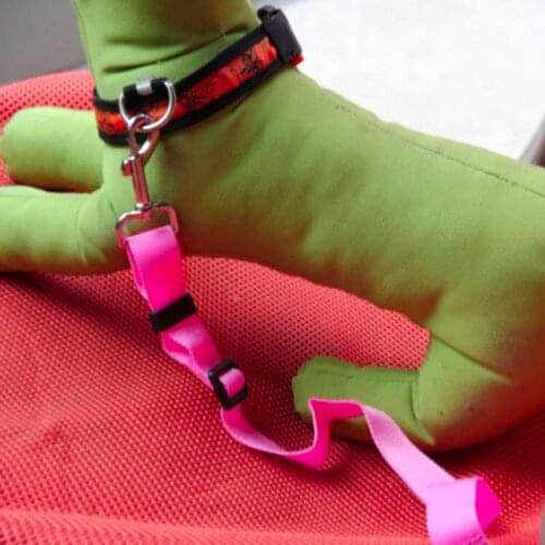 Collars Vehicle Car Pet Dog Seat Belt Seatbelt Lead Clip Pet Cat Dog Safety Pet Dog Supplies Safety Lever Auto Traction Products