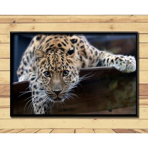 Jaguar Strong And Fast Land Animal (23) Wall Posters Prints Silk Art Painting For Home Wall Bedroom Decor