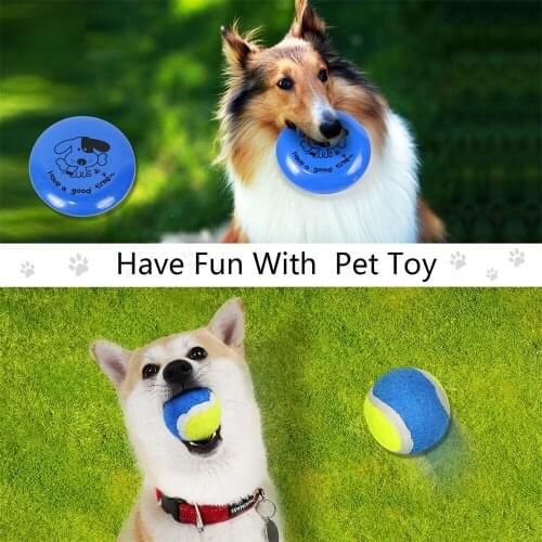 PAWZRoad 6pcs/Set Pet Toy Professional Outdoor Pet Dog Daily Use Product for Dog Car Belt Bottle Bowel Ball Flying Disc Poo Bags