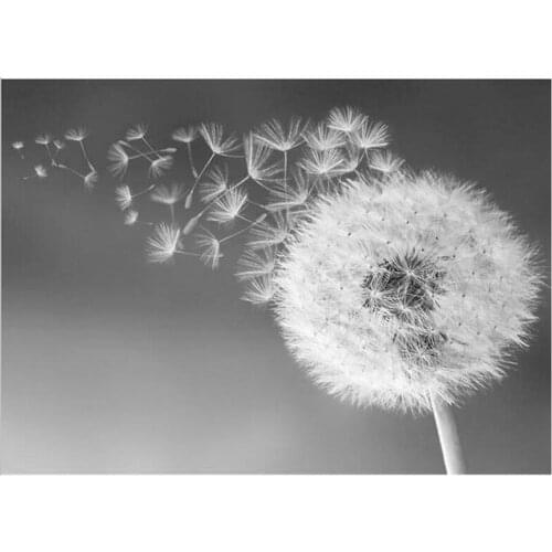 Diy Diamond Painting Full Square Diamond white Dandelion Embroidery Cross Stitch Rhinestone 5D Mosaic DecorZP-2385