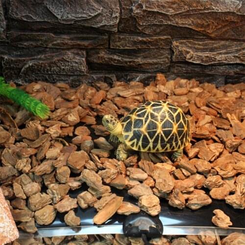 Hokerbat Reptile Products