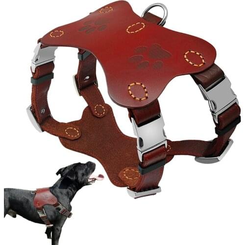 Pitbull Terrier Collars Harnesses Genuine Leather Dog Hraness Vest Large Dogs Training Harnesses Perro Golden Retriever